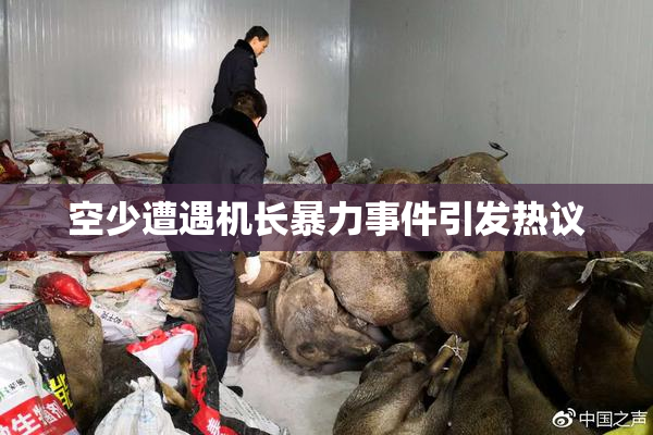 空少遭遇机长暴力事件引发热议