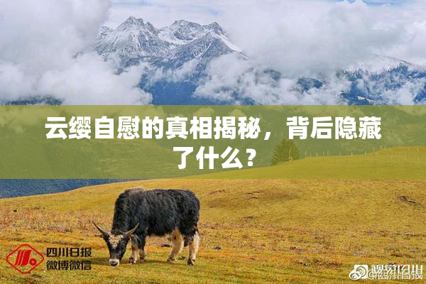 云缨自慰的真相揭秘，背后隐藏了什么？