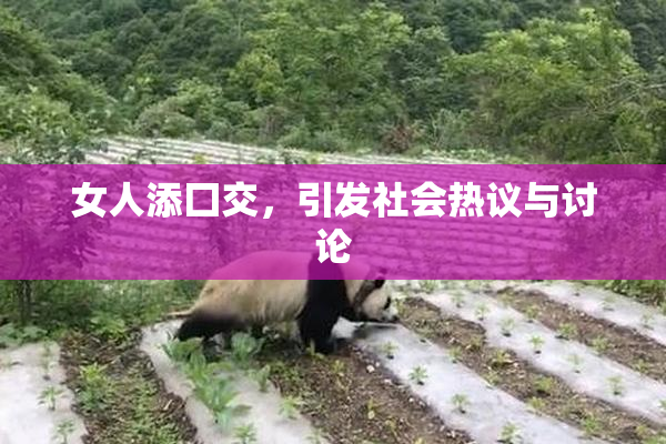 女人添囗交，引发社会热议与讨论