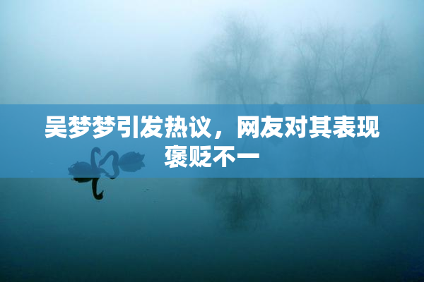 吴梦梦引发热议，网友对其表现褒贬不一
