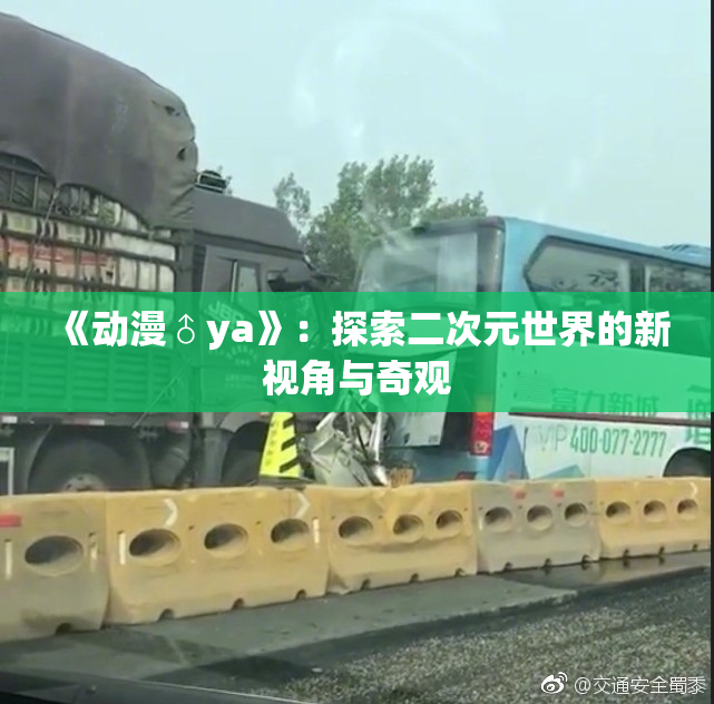 《动漫♂ya》：探索二次元世界的新视角与奇观