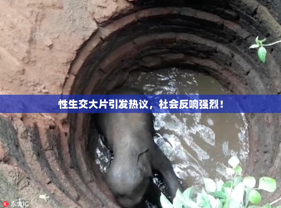 性生交大片引发热议，社会反响强烈！