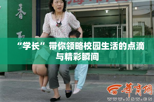“学长”带你领略校园生活的点滴与精彩瞬间