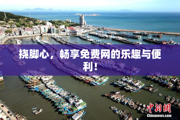 挠脚心，畅享免费网的乐趣与便利！