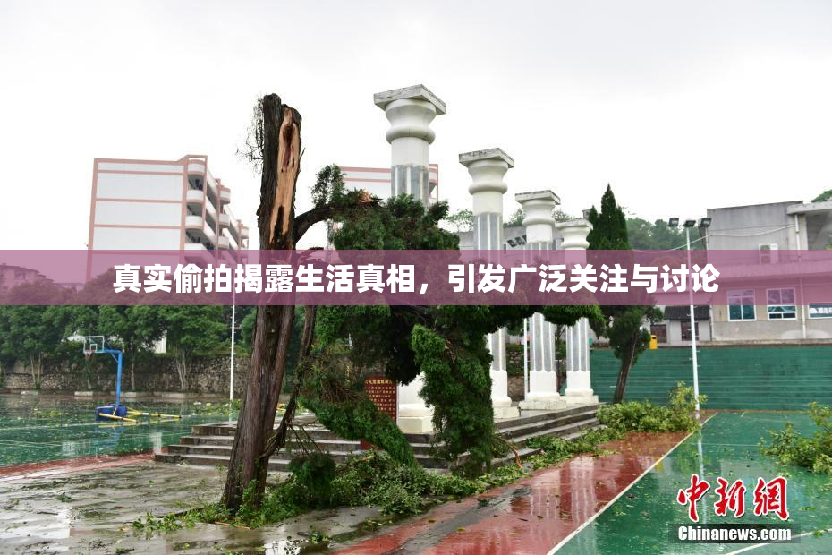 真实偷拍揭露生活真相，引发广泛关注与讨论