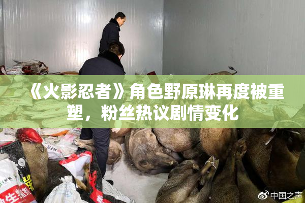 《火影忍者》角色野原琳再度被重塑，粉丝热议剧情变化