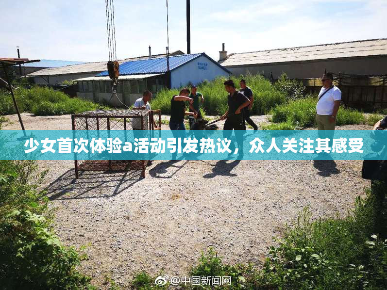 少女首次体验a活动引发热议，众人关注其感受