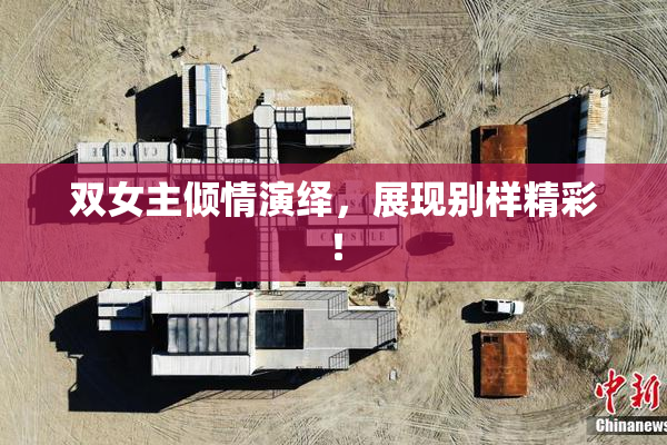 双女主倾情演绎，展现别样精彩！