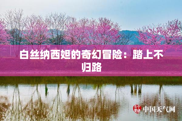 白丝纳西妲的奇幻冒险：踏上不归路