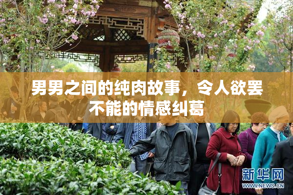 男男之间的纯肉故事，令人欲罢不能的情感纠葛