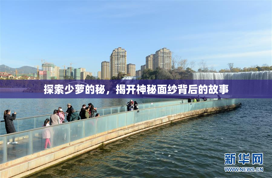 探索少萝的秘，揭开神秘面纱背后的故事