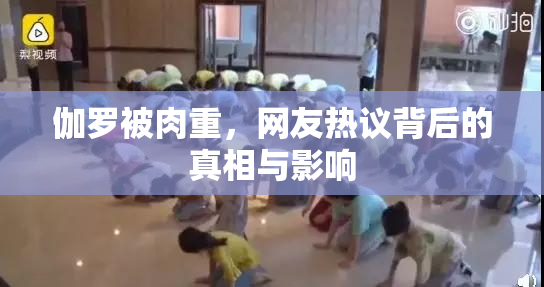 伽罗被肉重，网友热议背后的真相与影响
