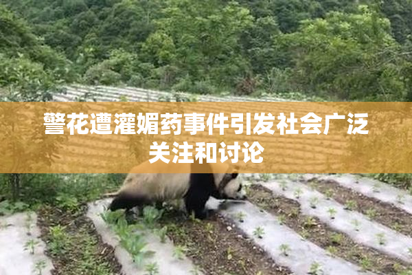 警花遭灌媚药事件引发社会广泛关注和讨论