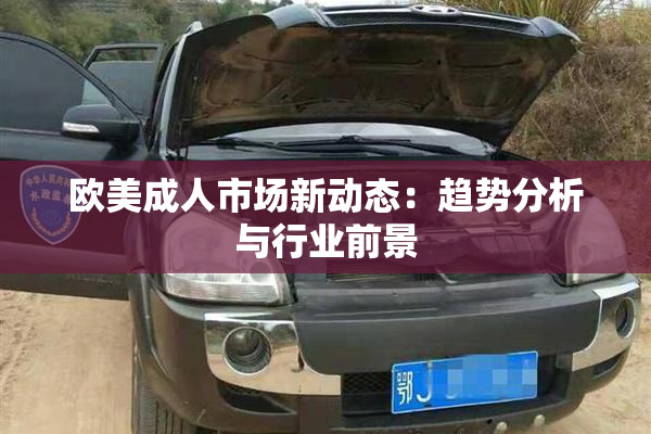欧美成人市场新动态：趋势分析与行业前景