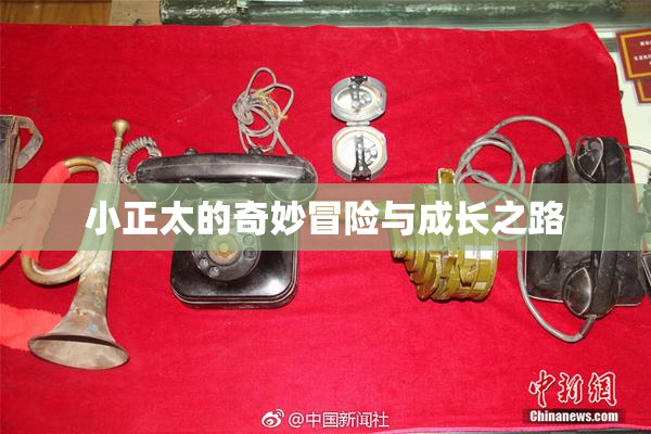 小正太的奇妙冒险与成长之路