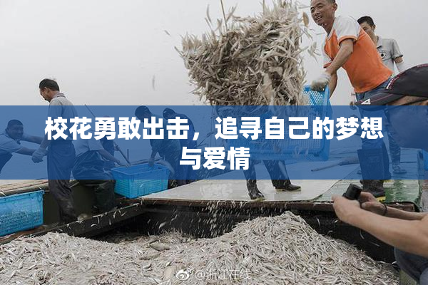 校花勇敢出击，追寻自己的梦想与爱情