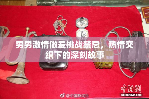 男男激情做爰挑战禁忌，热情交织下的深刻故事