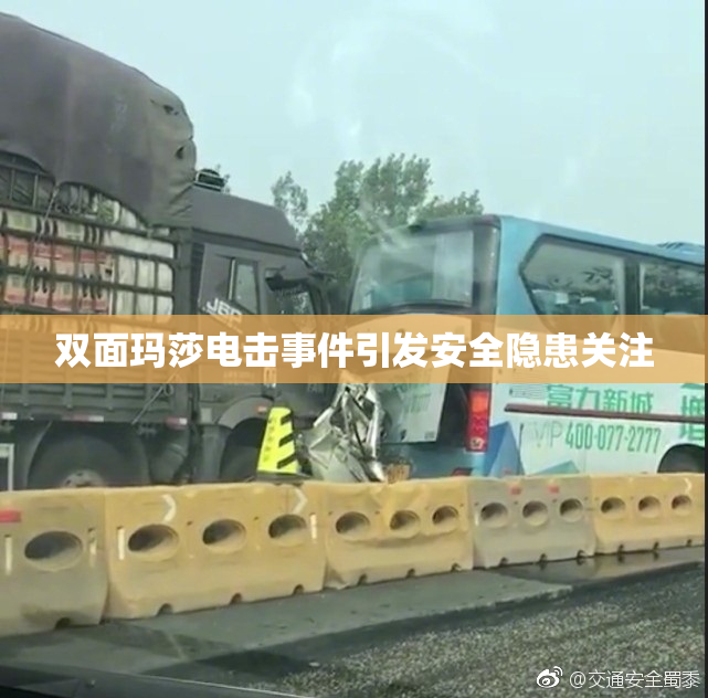双面玛莎电击事件引发安全隐患关注