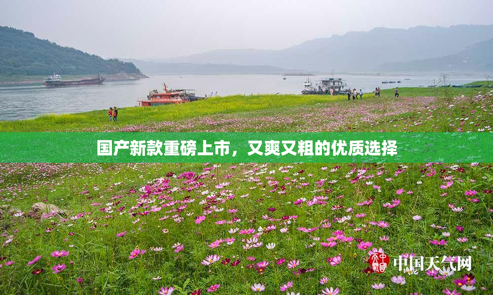 国产新款重磅上市，又爽又粗的优质选择