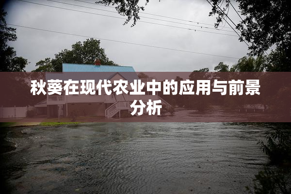 秋葵在现代农业中的应用与前景分析