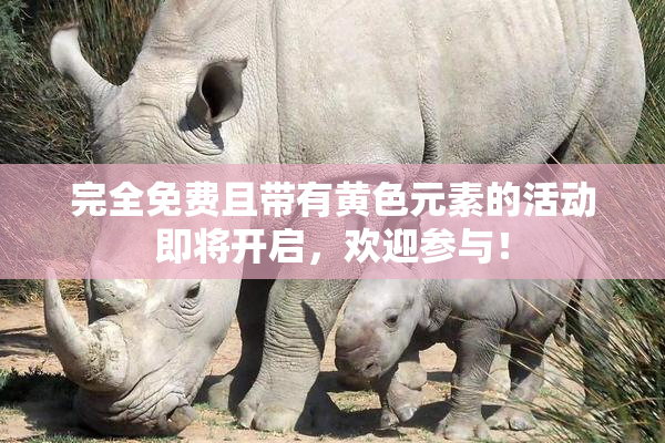 完全免费且带有黄色元素的活动即将开启，欢迎参与！