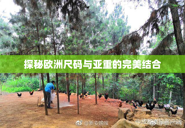 探秘欧洲尺码与亚重的完美结合
