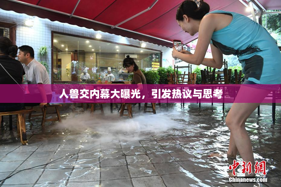 人兽交内幕大曝光，引发热议与思考