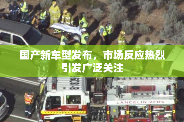 国产新车型发布，市场反应热烈引发广泛关注