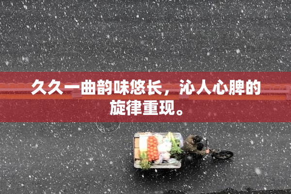 久久一曲韵味悠长，沁人心脾的旋律重现。