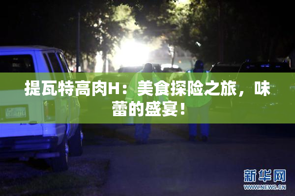 提瓦特高肉H：美食探险之旅，味蕾的盛宴！