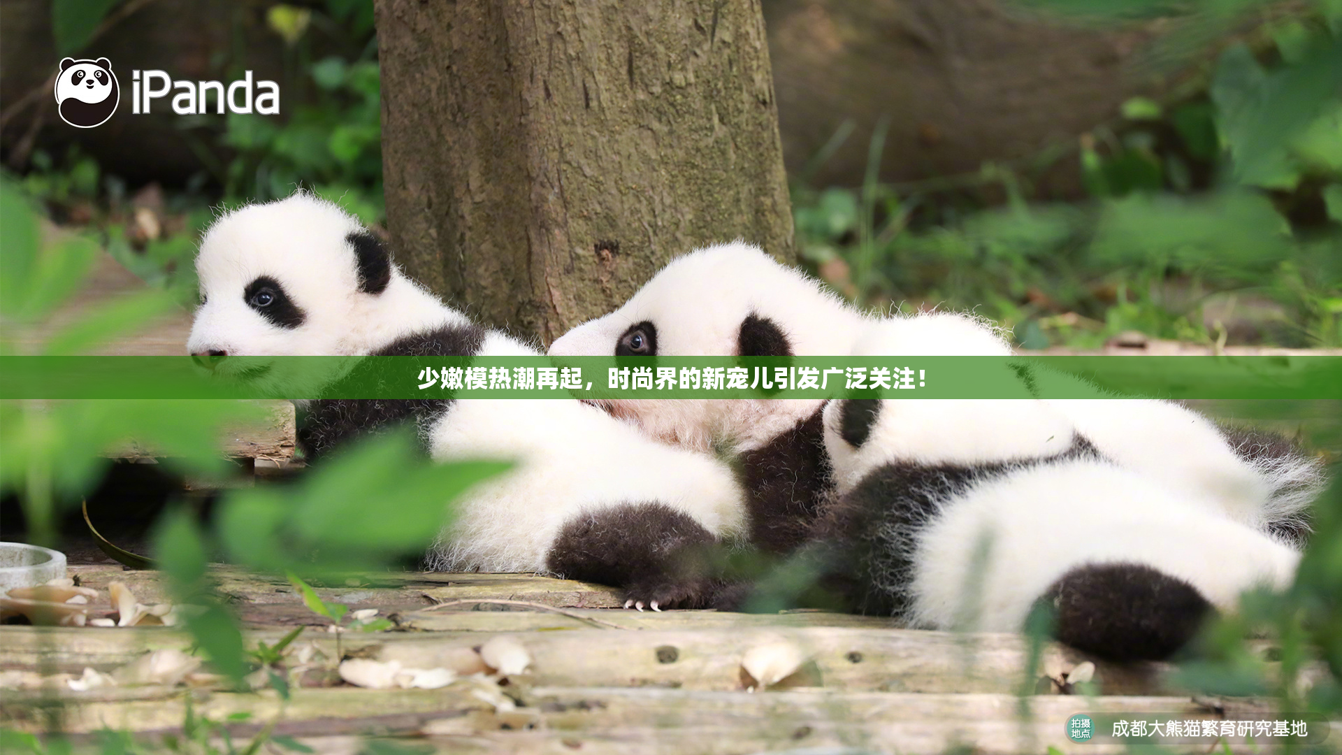 少嫩模热潮再起，时尚界的新宠儿引发广泛关注！