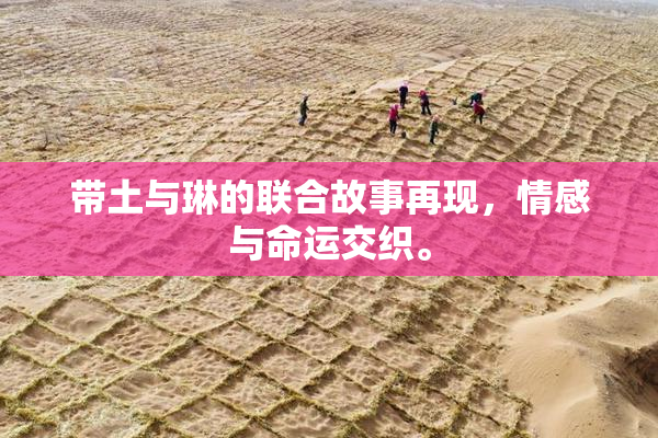 带土与琳的联合故事再现，情感与命运交织。