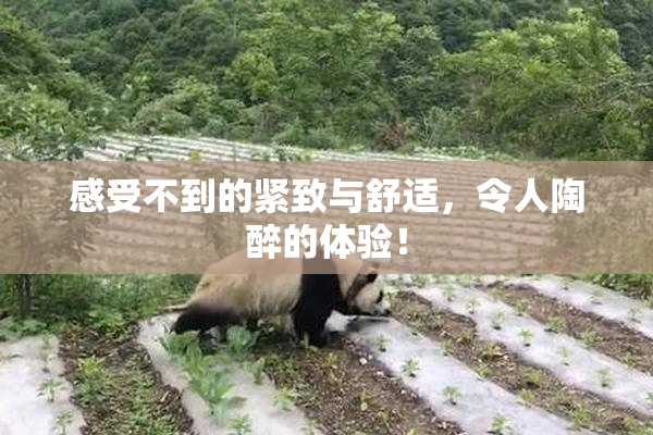 感受不到的紧致与舒适，令人陶醉的体验！