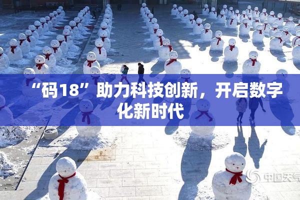“码18”助力科技创新，开启数字化新时代