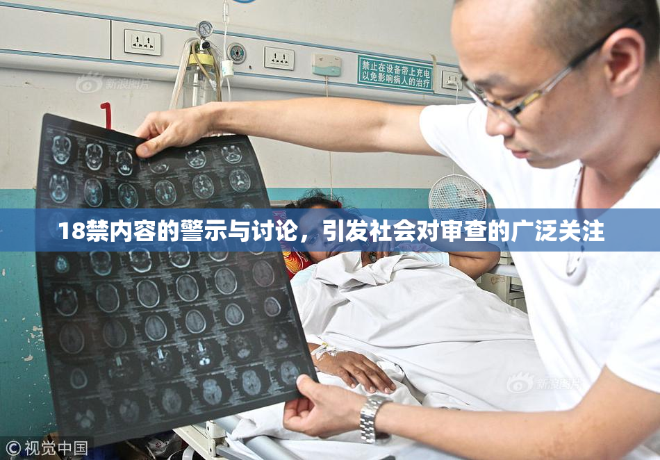 18禁内容的警示与讨论，引发社会对审查的广泛关注