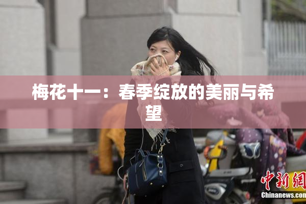 梅花十一：春季绽放的美丽与希望