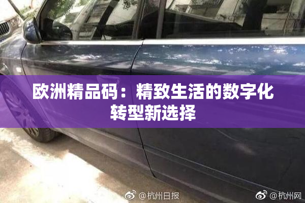 欧洲精品码：精致生活的数字化转型新选择
