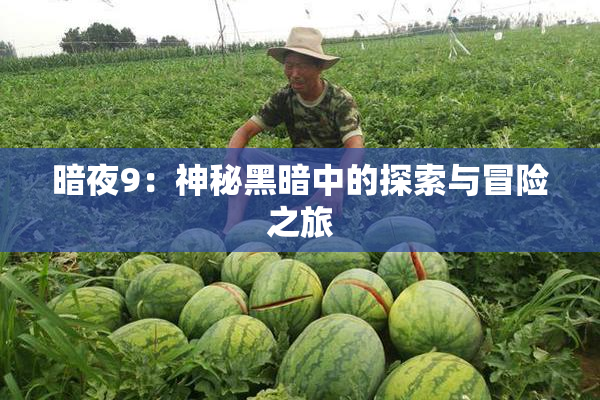 暗夜9：神秘黑暗中的探索与冒险之旅