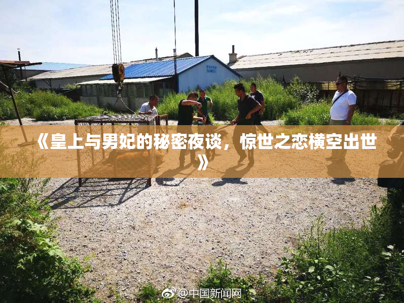 《皇上与男妃的秘密夜谈，惊世之恋横空出世》
