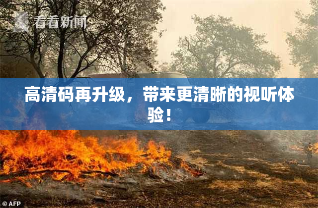 高清码再升级，带来更清晰的视听体验！