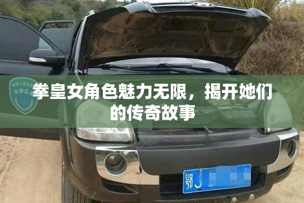 拳皇女角色魅力无限，揭开她们的传奇故事