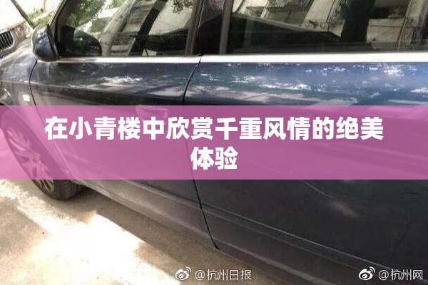 在小青楼中欣赏千重风情的绝美体验