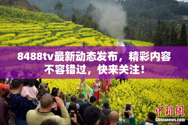 8488tv最新动态发布，精彩内容不容错过，快来关注！