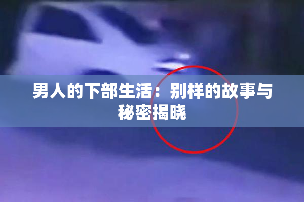 男人的下部生活：别样的故事与秘密揭晓