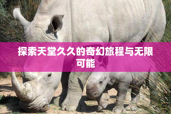 探索天堂久久的奇幻旅程与无限可能