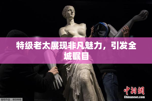 特级老太展现非凡魅力，引发全城瞩目