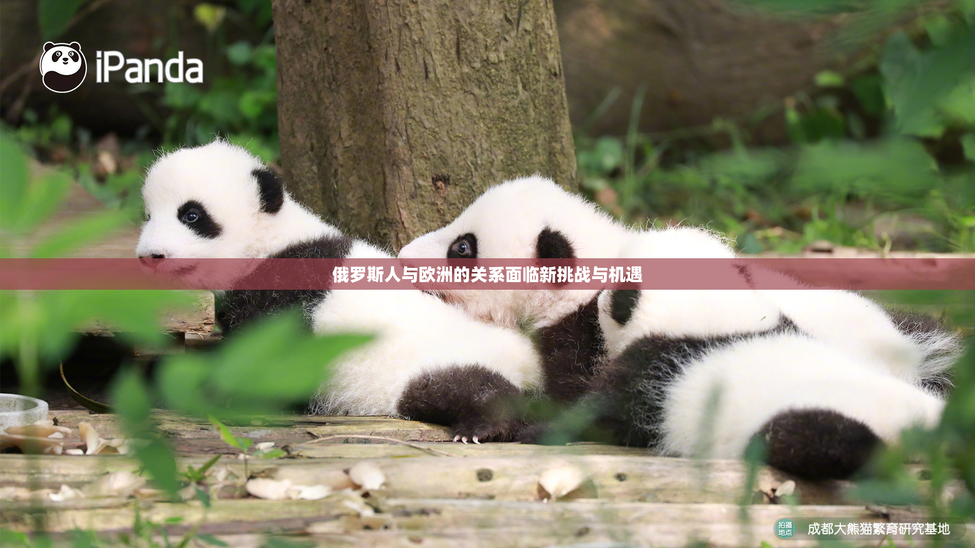 俄罗斯人与欧洲的关系面临新挑战与机遇