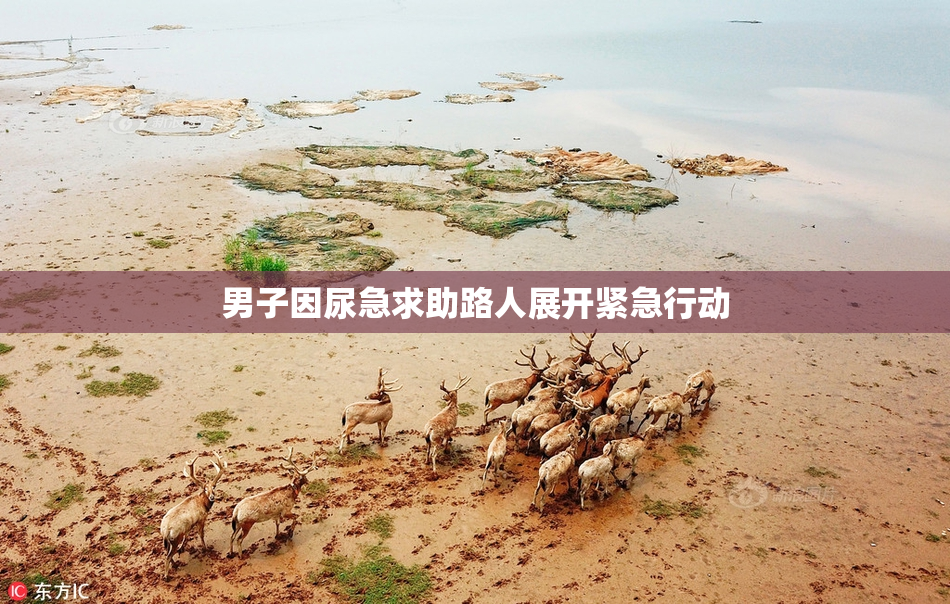 男子因尿急求助路人展开紧急行动