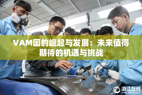 VAM国的崛起与发展：未来值得期待的机遇与挑战