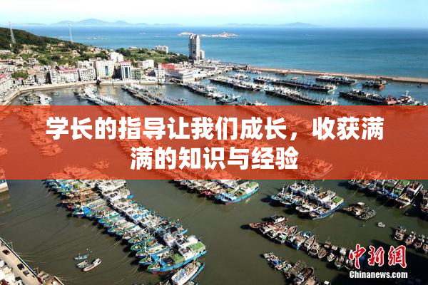 学长的指导让我们成长，收获满满的知识与经验